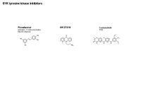 SYK tyrosine kinase inhibitors PPT Slide