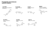 Prostaglandin and Tromboxane synthesis inhibitors PPT Slide