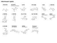 mGlu Receptor ligands PPT Slide
