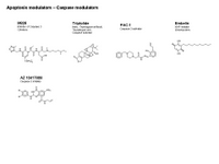 Apoptosis Modulators - Caspase modulators PPT Slide
