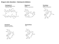 Drugs in skin disorders - Calcineurin inhibitors PPT Slide