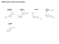 VEGFR-2 tyrosine kinase inhibitors PPT Slide