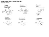 Tubulin binding agents-Polymerization promoters PPT Slide