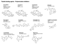 Tubulin binding agents - Polymerization inhibitors PPT Slide
