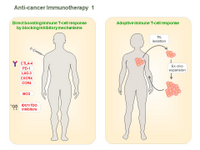 Anti-cancer Immunotherapy 1 PPT Slide