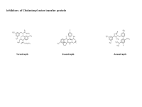 Inhibitors of Cholesteryl ester transfer protein PPT Slide