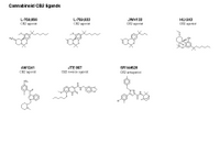 Cannabinoid CB2 ligands PPT Slide