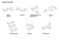 Complex flavonoids PPT Slide