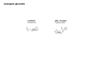 Cyanogenic glucosides PPT Slide