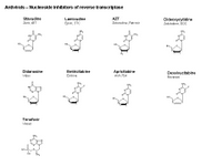 Antivirals - Nucleoside inhibitors of reverse transcriptase PPT Slide