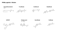 PPAR-alfa agonists - Fibrates PPT Slide