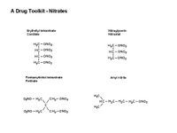 Nitrates PPT Slide