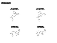 Opioid Receptors - Endogenous ligands PPT Slide