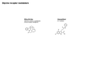 Glycine Receptor modulators PPT Slide