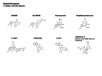 Opioid Receptors - kappa selective ligands PPT Slide