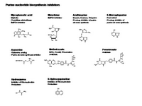 Purine nucleotide biosynthesis inhibitors PPT Slide