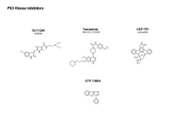 Flt3 Kinase inhibitors PPT Slide