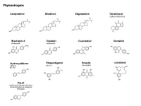Phytoestrogens PPT Slide