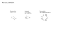Telomerase inhibitors PPT Slide