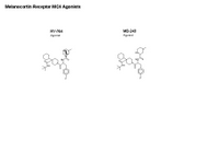 Melanocortin Receptor MC4 Agonists PPT Slide