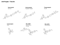 Anti-Fungals - Triazoles PPT Slide