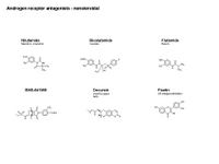 Androgen receptor antagonists - nonsteroidal PPT Slide