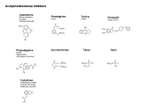 Acetylcholinesterase inhibitors PPT Slide