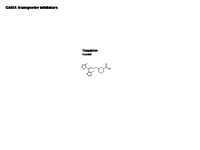 GABA  transporter inhibitors PPT Slide