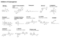 A Drug Toolkit - Inhibitors of 5-Lipoxygenase PPT Slide