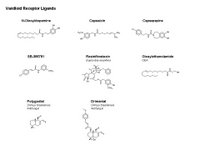 Vanilloid Receptor ligands PPT Slide