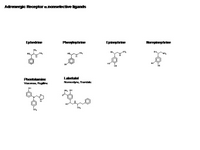 Adrenergic nonselective alpha ligands PPT Slide