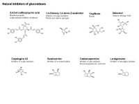 Natural glucosidase inhibitors PPT Slide