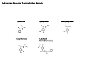 Adrenergic nonselective beta ligands PPT Slide