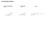 Steroid sulfatase inhibitors PPT Slide