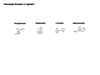 Adrenergic alpha 1 agonists PPT Slide