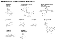 Natural hypoglycemic compounds - Phenolics and Xanthonoids PPT Slide