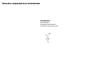 Bioactive compounds from invertebrates PPT Slide