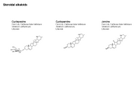 Steroidal alkaloids PPT Slide