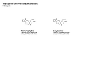 Tryptophan - derived tetracyclic oxindoles PPT Slide