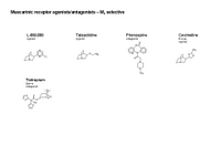 Muscarinic receptor ligands - M1 selective PPT Slide
