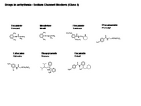 Drugs in arrhythmia - Sodium channel blockers PPT Slide