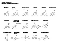 Opioid Receptors - Morphine derivatives PPT Slide