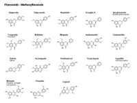 Flavonoids - methoxyflavonols PPT Slide
