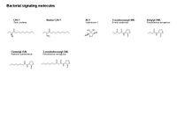 Bacterial signaling molecules PPT Slide
