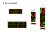 A Microarray Profiling Toolkit PPT Slide