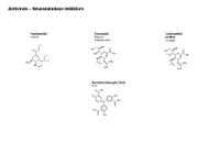 Antivirals - Inhibitors of viral neuraminidase PPT Slide