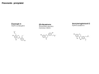 Flavonoids - prenylated PPT Slide