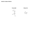 Xanthine Oxidase inhibitors PPT Slide