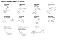 Dopamine Receptor ligands - D2 selective PPT Slide