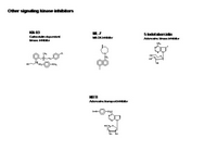 Other signaling kinase inhibitors PPT Slide